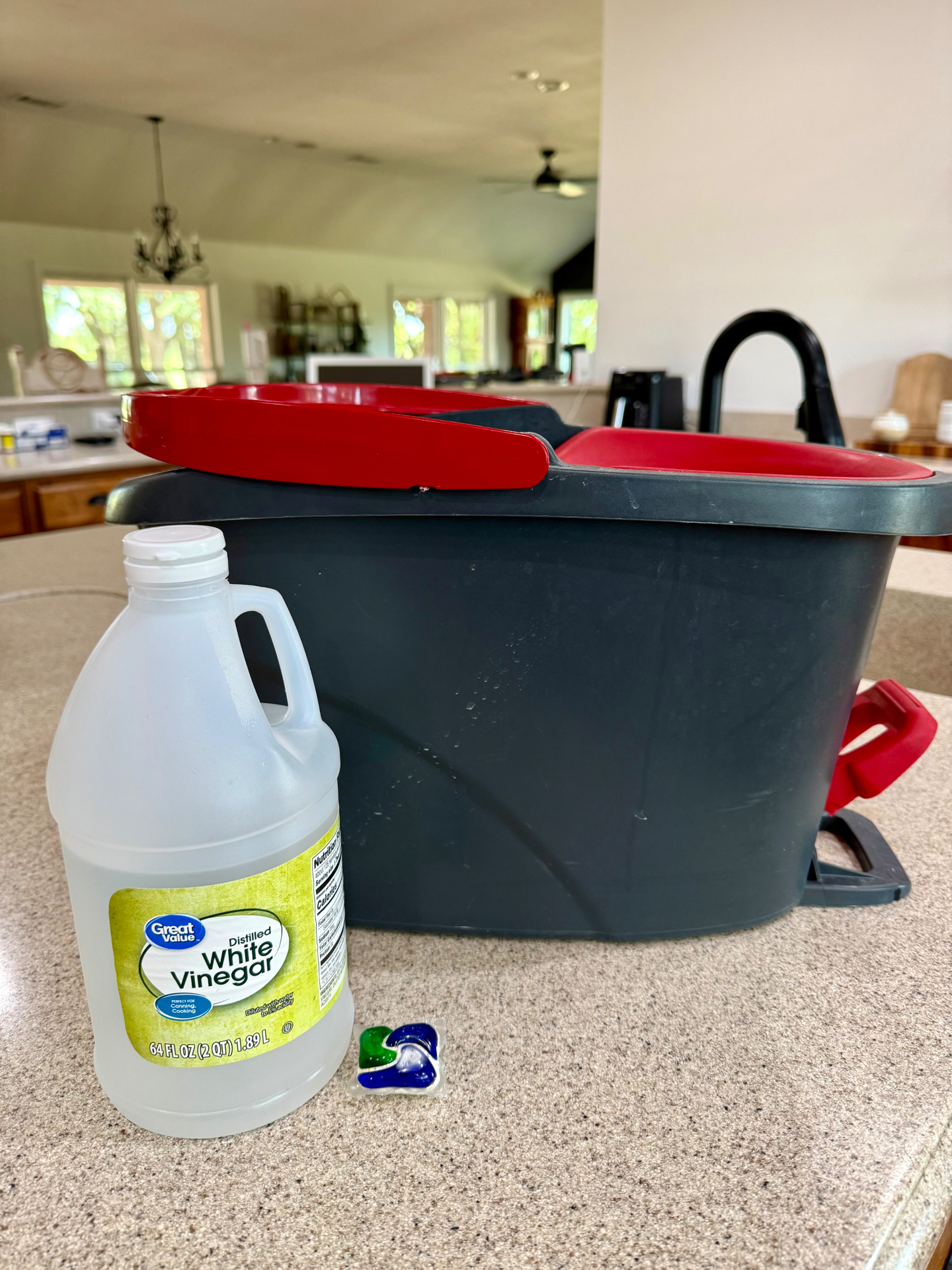 Gallon of distilled white vinegar beside an O-Cedar mop bucket as part of a household cleaning routine.