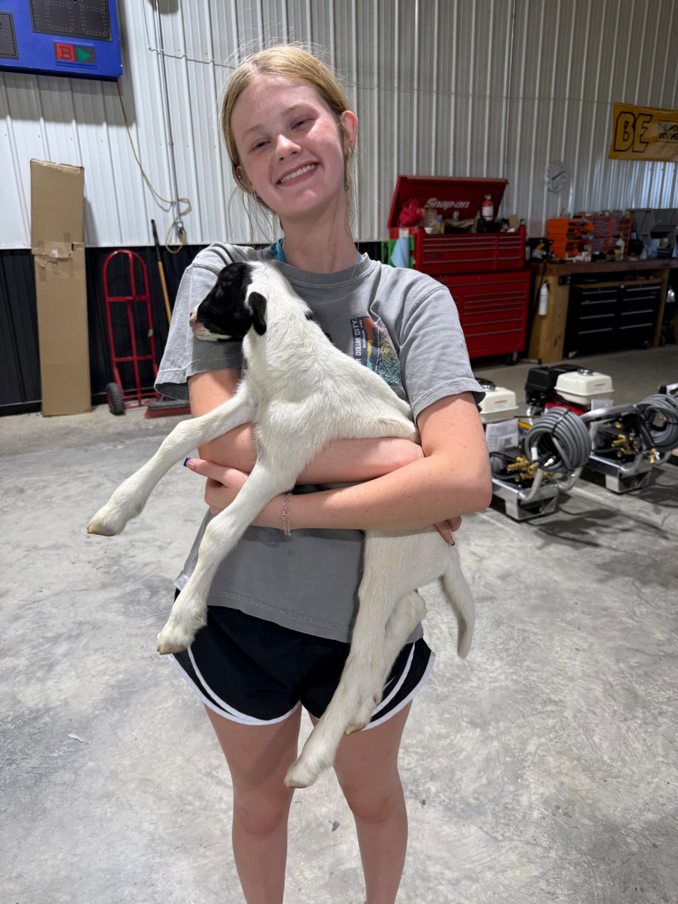 A smiling girl holding a young Dorper lamb
