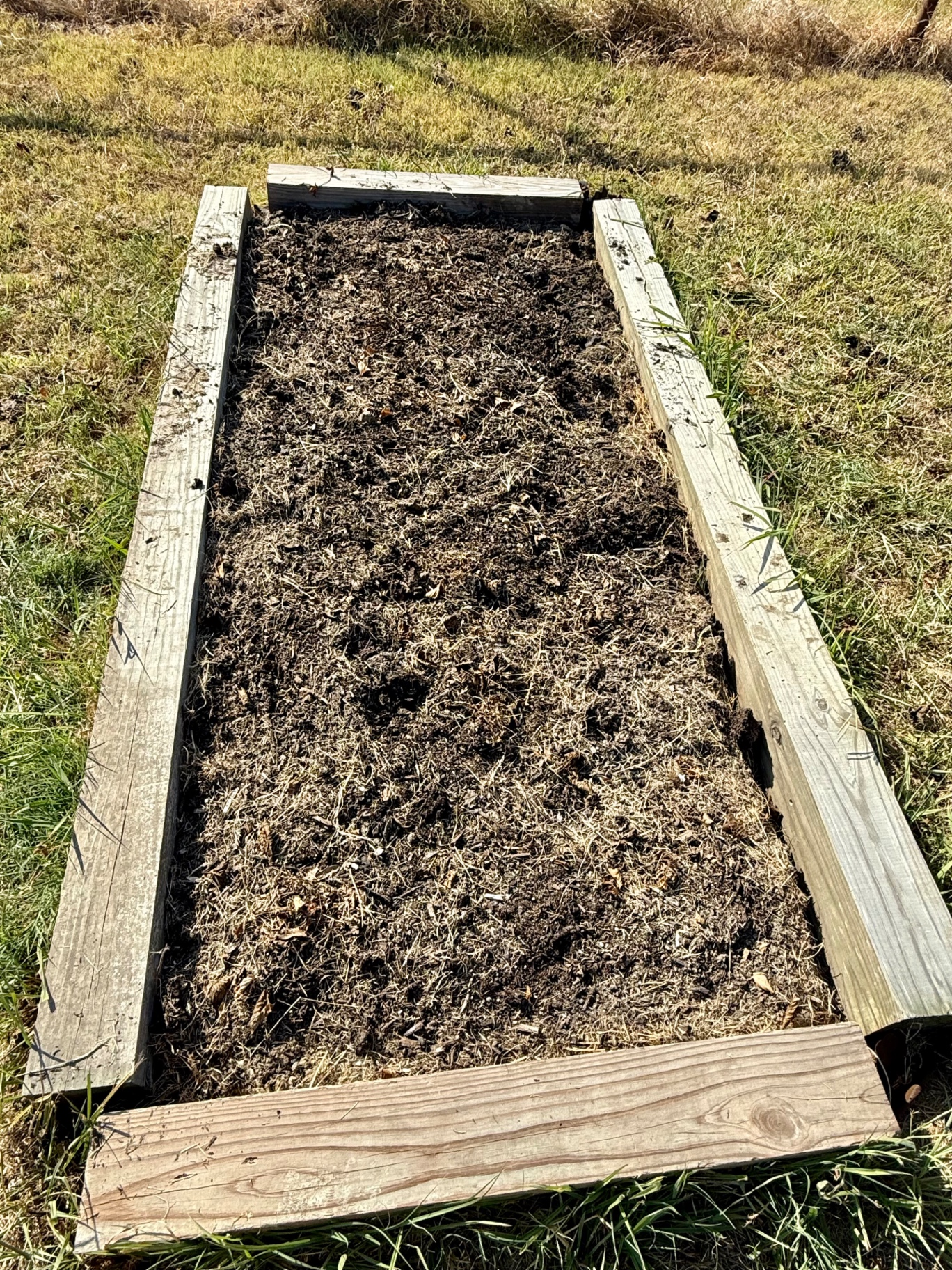 Raised strawberry bed after cleanup with the dead growth and weeds removed and bare soil showing