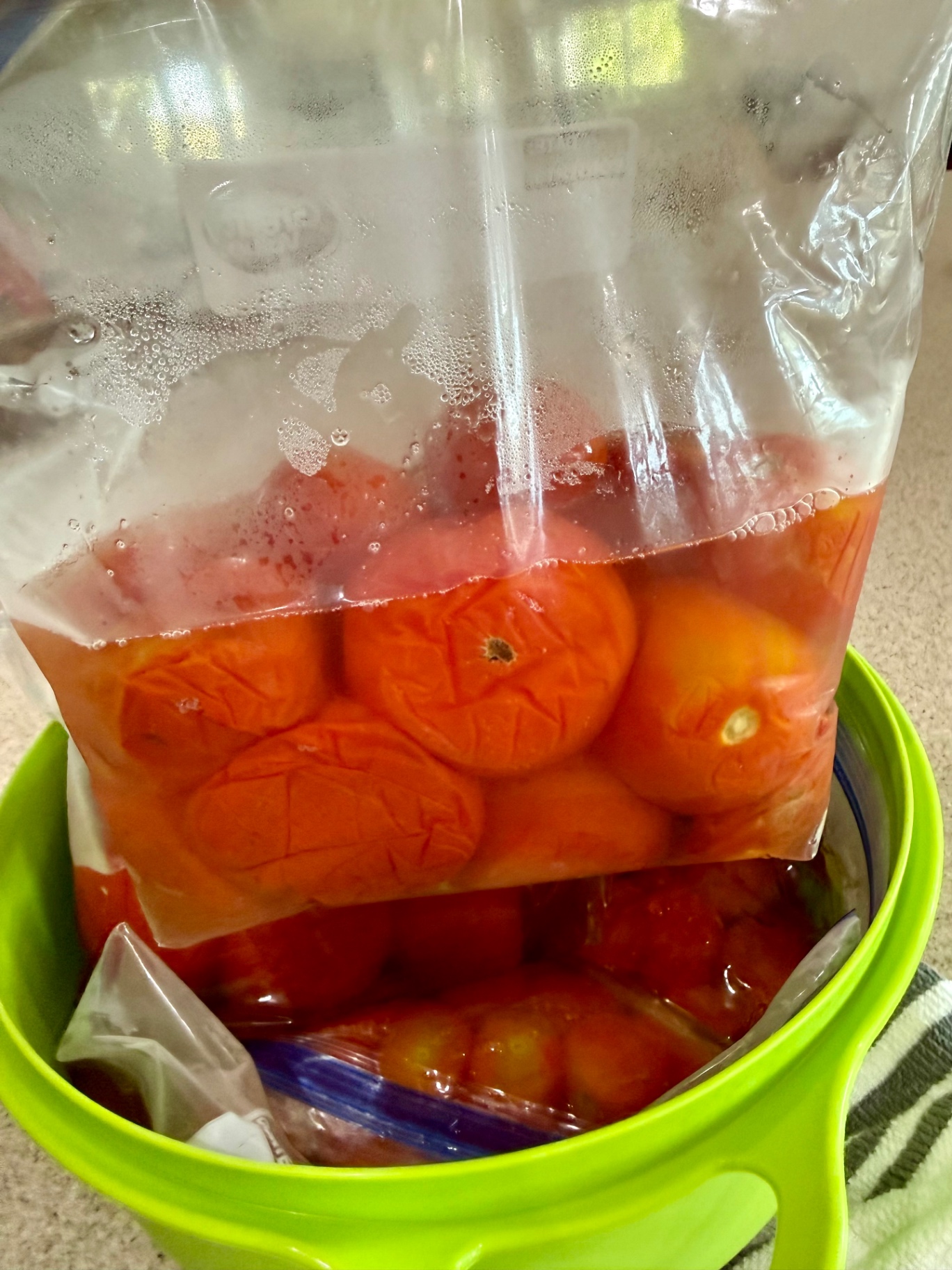 Thawed garden tomatoes in a freezer bag with liquid released during thawing.