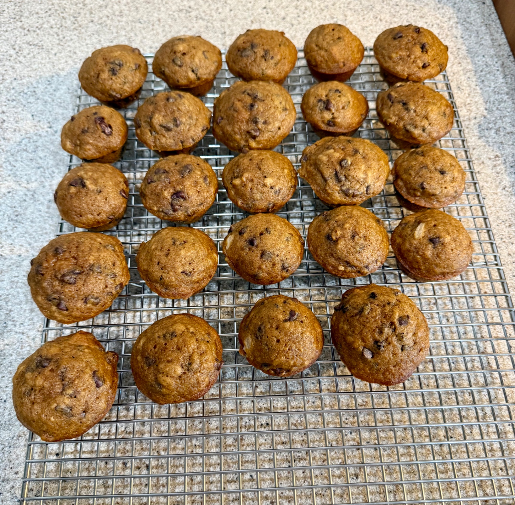 Mini banana pumpkin chocolate chip muffins cooling on a wire rack.