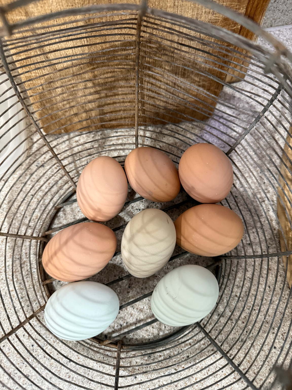 Brown, cream, and blue-green eggs arranged in a wire basket on the counter