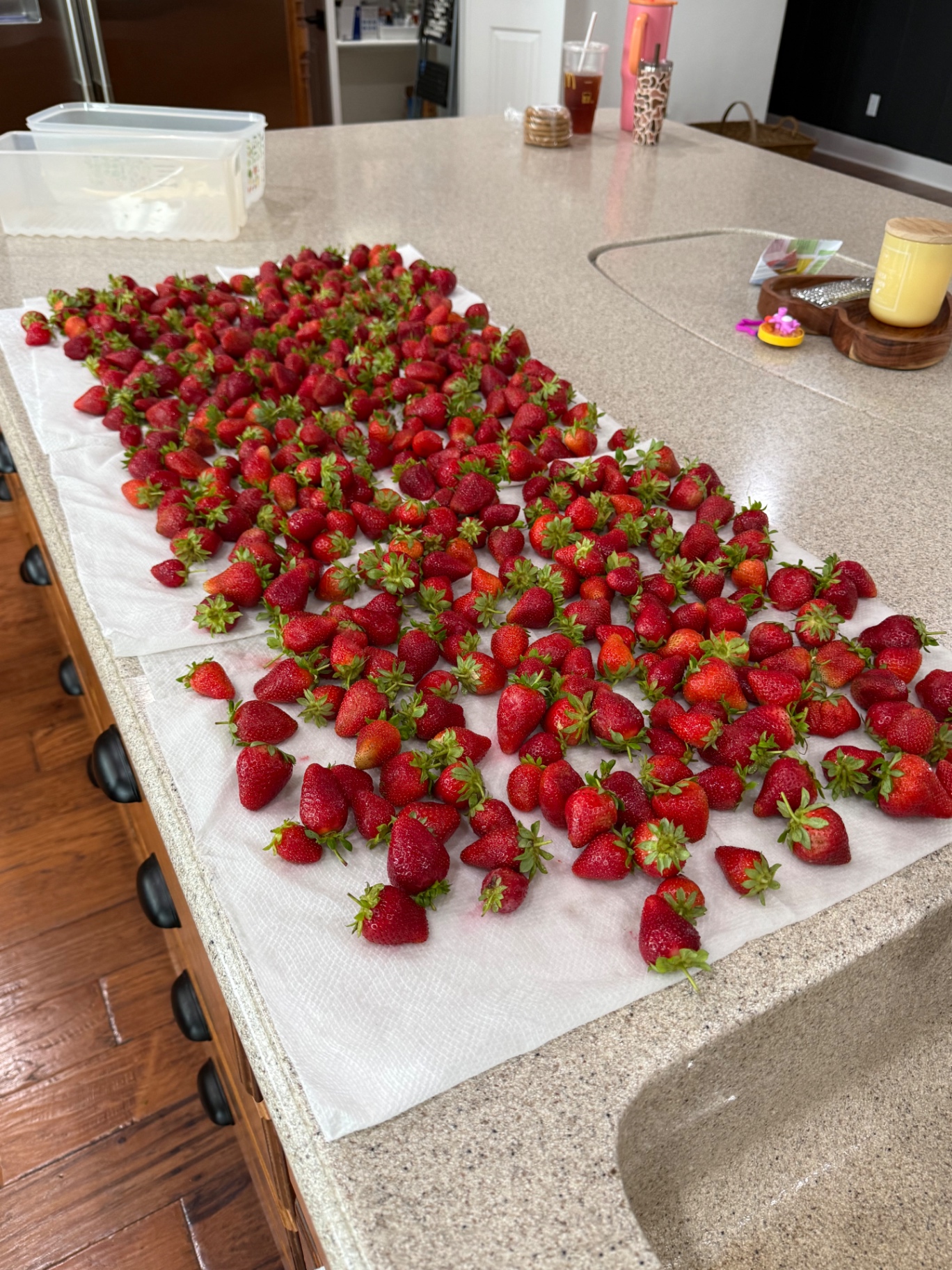 A large strawberry harvest spread out across the kitchen counter.